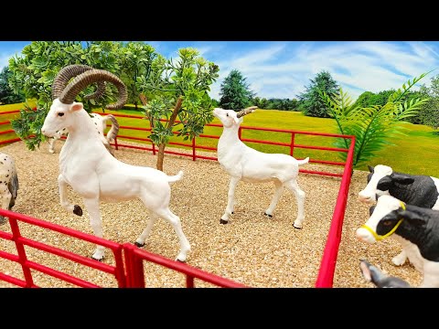 How to Make Mini Animal Farm Diorama | Miniature Farm Cow, Goat, Horse & More