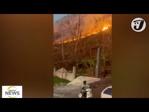 10 Year Old Dies After Being Struck by JUTC Bus | Fire - New Crisis in Westmoreland #tvjmiddaynews