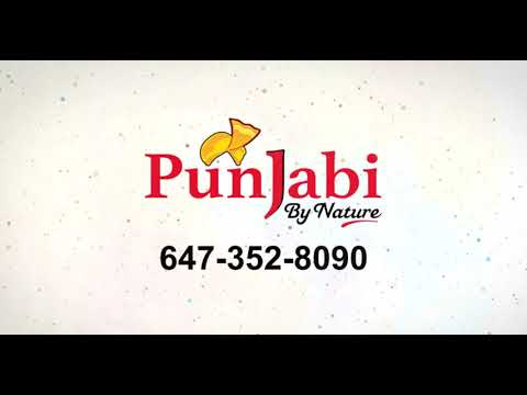 Punjabi By Nature