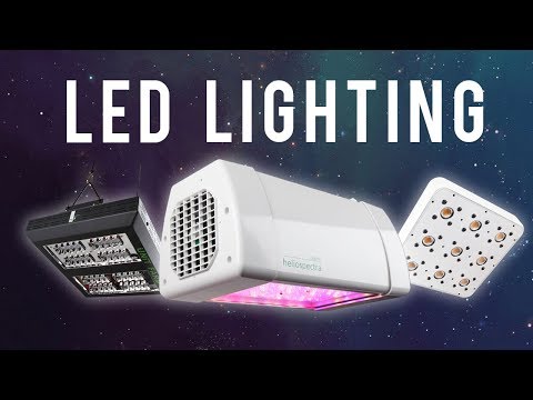 Eliminate Unwanted Heat With LED Lighting!