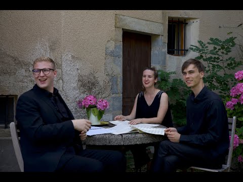 Du Vert à L'infini -Trio Tempestoso Concert