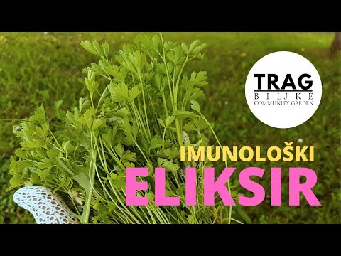 IMMUNOLOGY ELIXIR (2021) [TRACE OF THE PLANT]