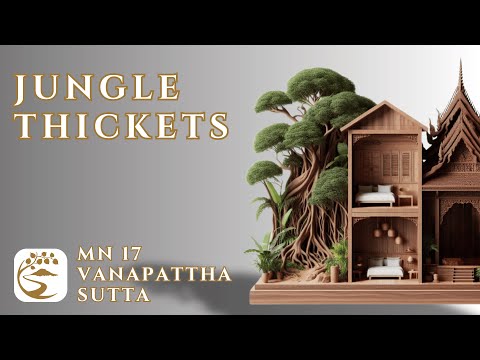 MN 17: Vanapattha Sutta - Dwelling Choice & Discernment in Spiritual Progress | 10-Minute Majjhima