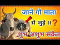 जाने गौ माता से जुड़े 11 शुभ अशुभ संकेत Co