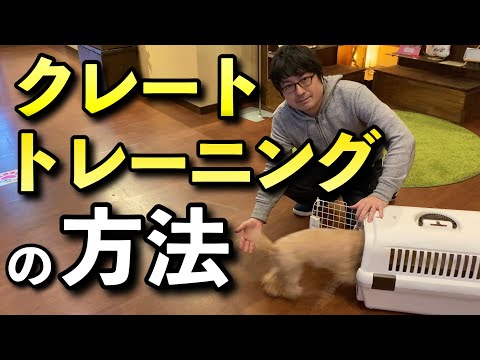 犬を輸送用クレートに慣れさせる方法
