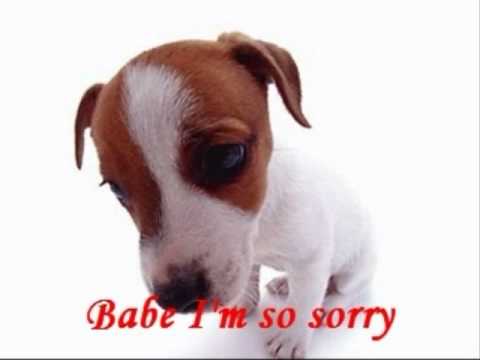 Babe I'm so sorry - Chhorn Sovanareach