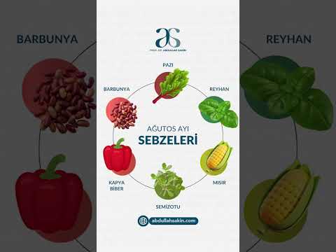 Kanser Tedavisinde Doğru Beslenme: Ağustos Ayı Sebze ve Meyveleri 
