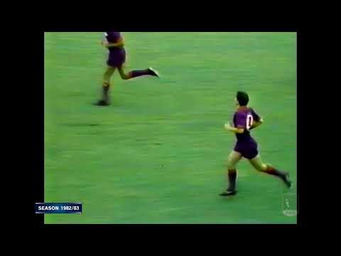Serie A 1982-83, g05, Fiorentina - Juventus