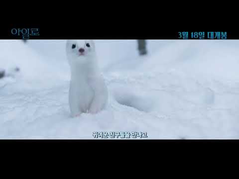 '아일로' 스크린으로 떠나는 핀란드 여행♥ 예고편