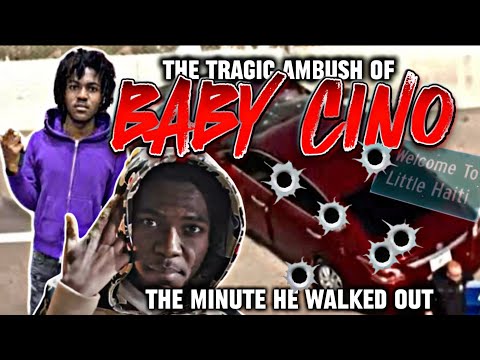 “The Tragic Ambush of Baby Cino” The Minute He Walked Out