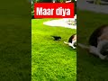 Tera Peecha Na Mai Chodunga Soniyae