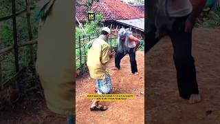 Download lagu VIRAL !! DUKUN VS KYAI SAKTI #shorts #lucu #comedy mp3