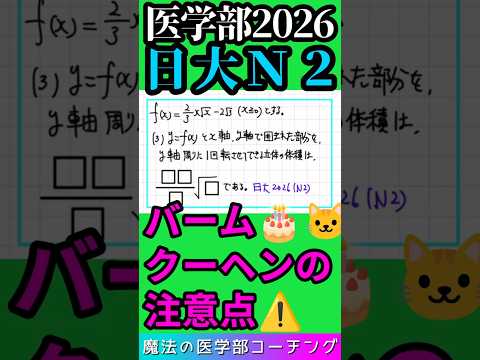 日大N2バームクーヘン