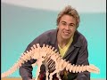 Hi 5 Australia S11 E20 Human Body Español Version