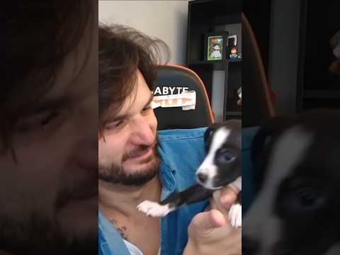 JAZZGHOST MOSTRA A CAJU EM VIDEO!!!