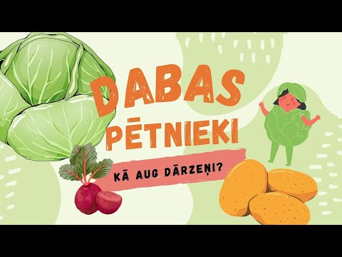 Dabas Pētnieki - Kā aug kāposti? Kā aug bietes? Novācam kartupeļu ražu! Mācāmies par dabu bērniem.