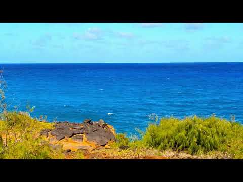image-Can you swim at Donkey Beach?