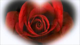 STEAL MY HEART AWAY ; Don Johnson -Cover-    Original ; KING CREOLE