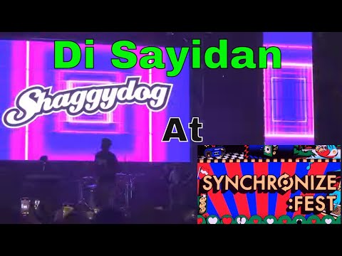 Lagu Wajib Nongrong !!! Di Sayidan - Shaggydog at Synchronize Fest 2022 Jakarta
