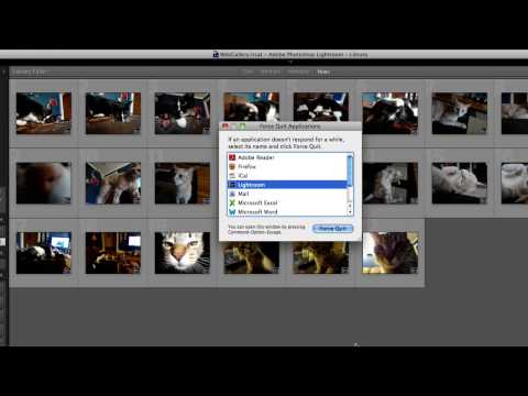 How to Run Lightroom in 64 Bit