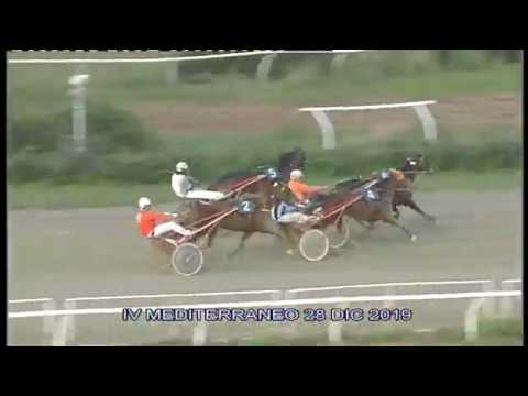 Trotto Corse del 28 Dicembre 2019