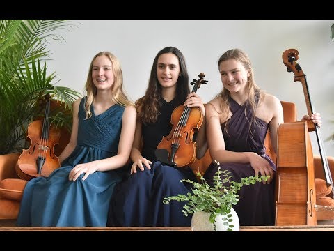Beethoven String Trio Op. 9, No. 2, 3d Movement: The Amicus Trio