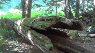 Backpacking to Lindeman &amp; Greendrop Lakes,  Chilliwack BC