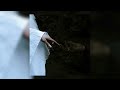 Warlord Colossus A Fool A Knight Official Audio