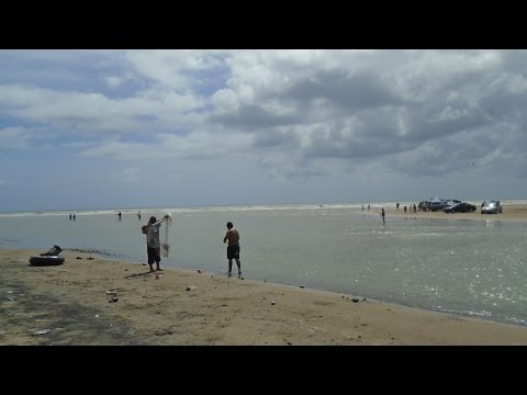 download lagu mp3 mp4 Mexican Rio, download lagu Mexican Rio gratis, unduh video klip Mexican Rio