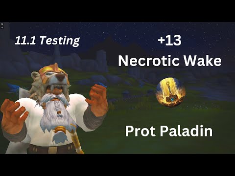 +13 The Necrotic Wake | 11.1 DMG Testing | Protection Paladin POV