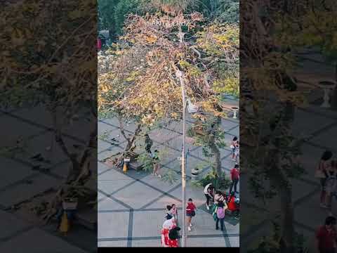 plaza principal, Santa Cruz, Bolivia#conoceBolivia #santacruz #Bolivia #travel