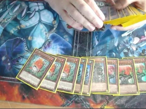 Yu-Gi-Oh! Deck Profile - WCQ: European Championship 2014 - Top 64 - Kim van Campenhoudt - Sylvans