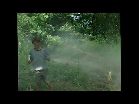 2001 GNCC Round 10   Burr Oak ATVs