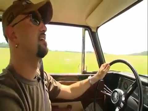 Der Checker Das Alfa-Tier