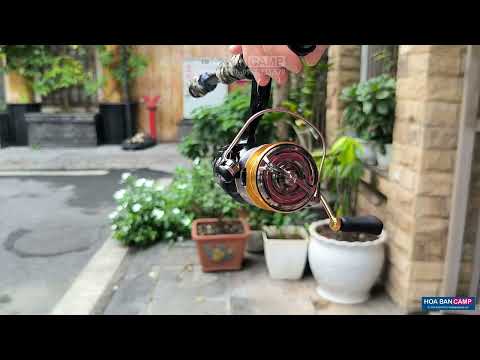 Máy Câu Dọc Daiwa Crossfire LT 4BS | 2020