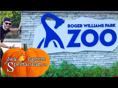 Roger Williams Park Zoo Jack - O - Lantern Spectacular 2018 | Fortnite & Stranger Things Pumpkins Video