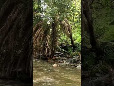 #naturelovers #nature #sodhabaljeet#newvolg