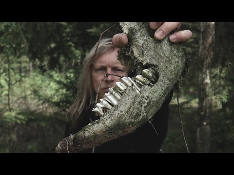 AFSKY - Sorg FULL ALBUM (Official Audio)