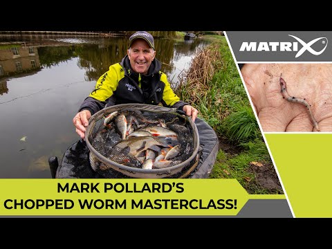 CHOPPED WORM FISHING With Mark Pollard
