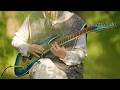 I Play Ghibli S Most Beautiful Songs On Guitar