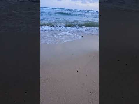 NARELA BAGICHA BEACH # ANDAMAN # YTSHORT