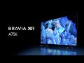 Sony Bravia XR-55A75K