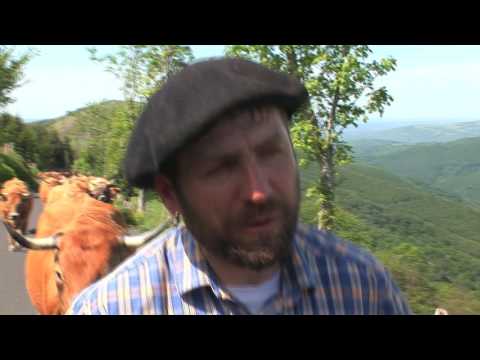 Vacada Solinhac de La Garriga (Galhac)