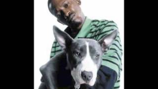 Tha Dogg Pound Gangsta&#39;s Prerogative.wmv