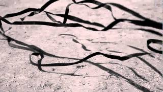 MON LAFERTE &quot;Desechable&quot; (Oficcial video)