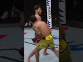 Pantoja's Clean Overhand Right Knocks Out Opponent