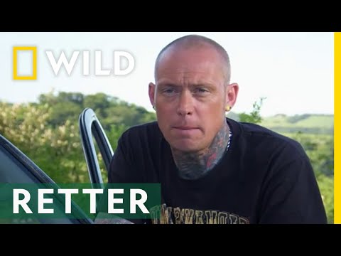 Die Rettung für eine Python | Reich der Schlangen