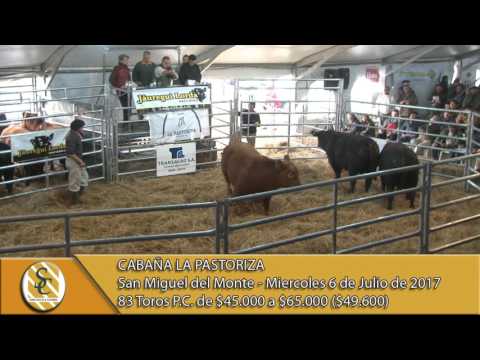 05-07-17 Venta de Toros PC - Cabaña La Pastoriza - San Miguel Del Monte