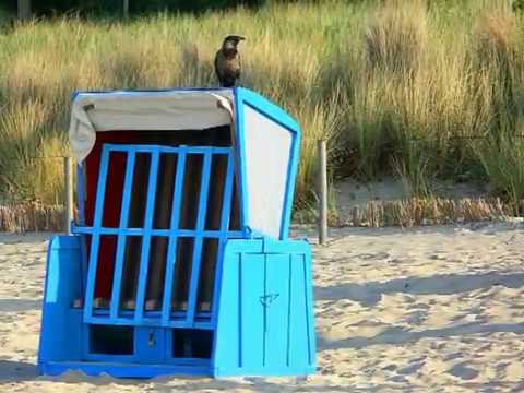 Reisen-auf-Video.de - Stralsund Rügen Hiddensee -- ein Film von Michael Hensel