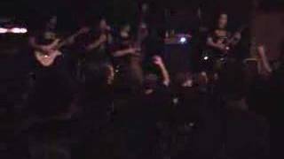 Cephalic CarnageObserver to the Obliteration of Planet Earth